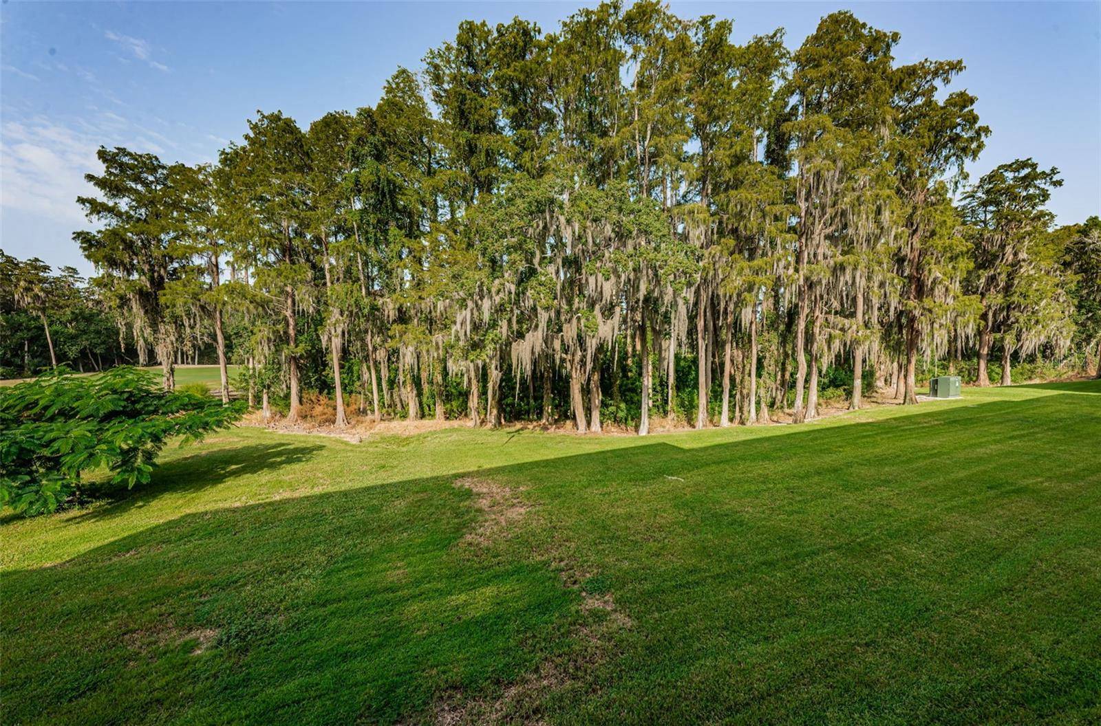 Palm Harbor, FL 34684,36750 US HIGHWAY 19 N #3-209