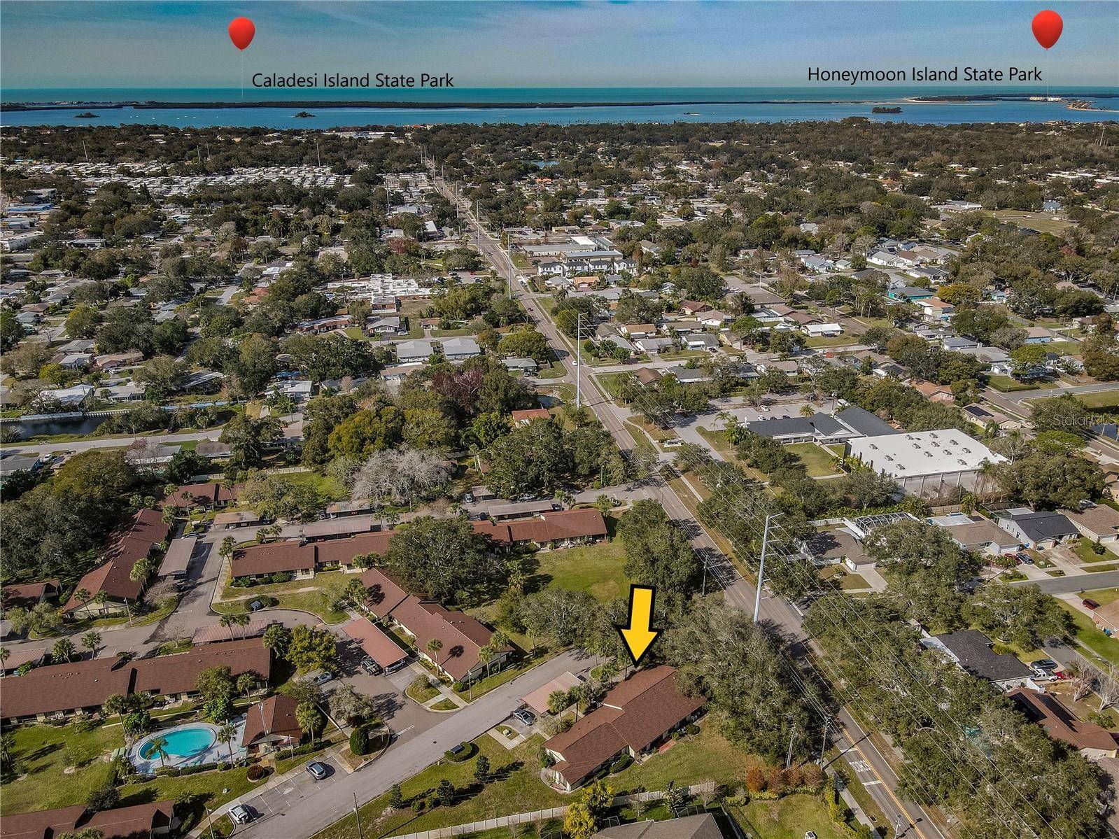 Dunedin, FL 34698,1401 POWDERPUFF DR #102