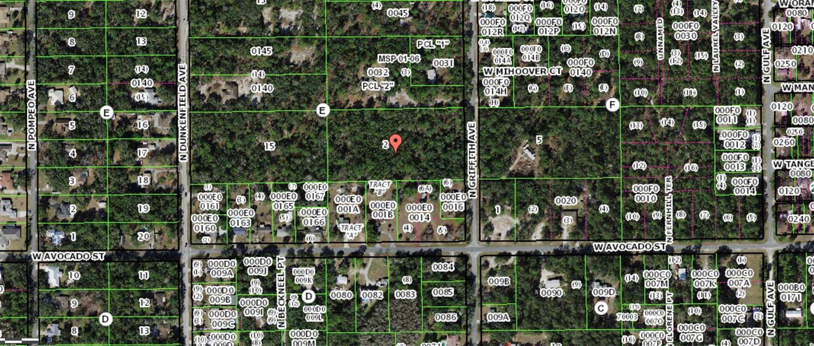 Crystal River, FL 34429,596 N GRIFFITH AVE