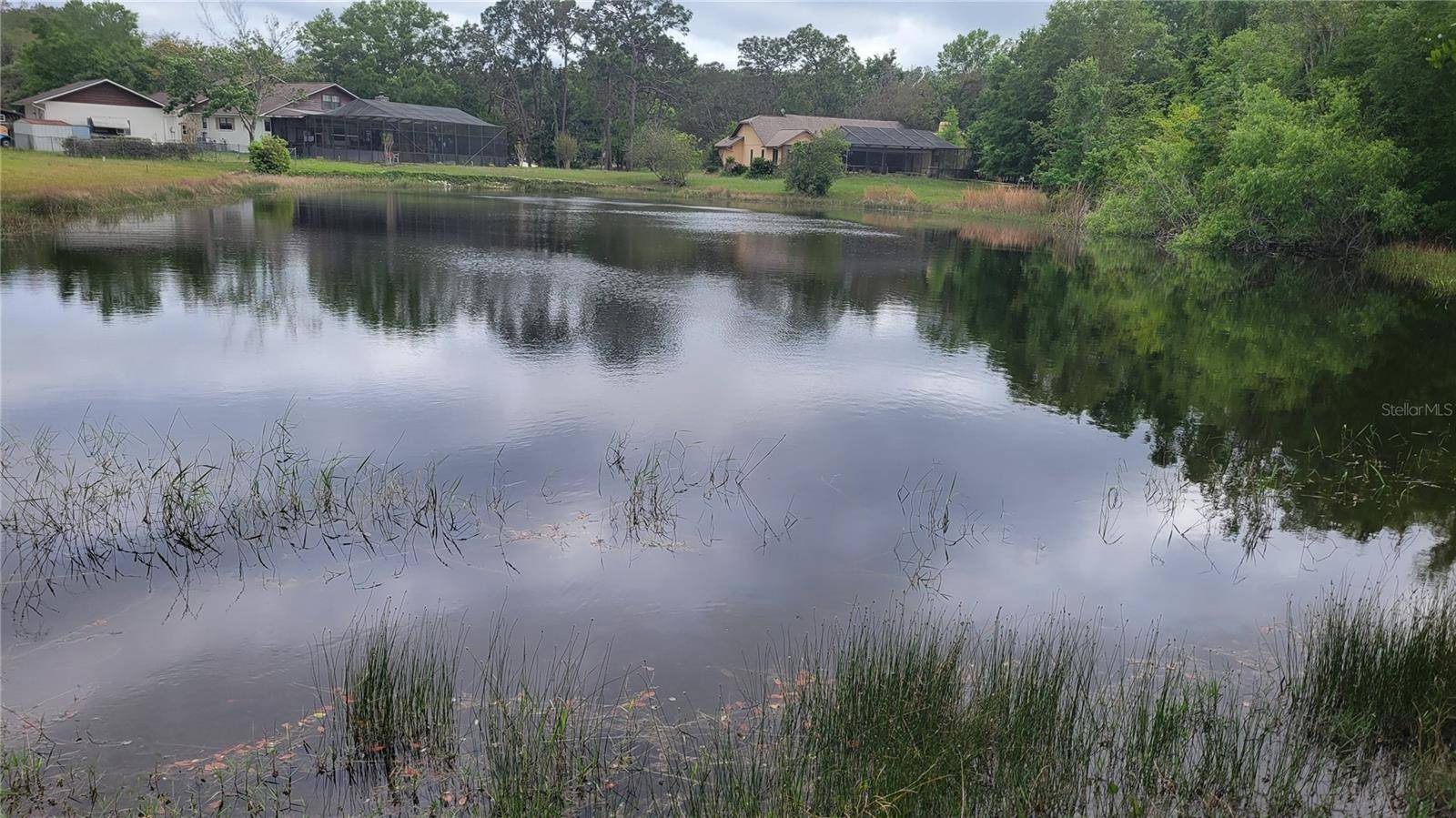 New Port Richey, FL 34654,1750 RABBIT DR
