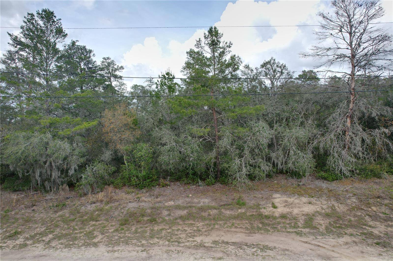 Inverness, FL 34452,3002 WOODHILL ST