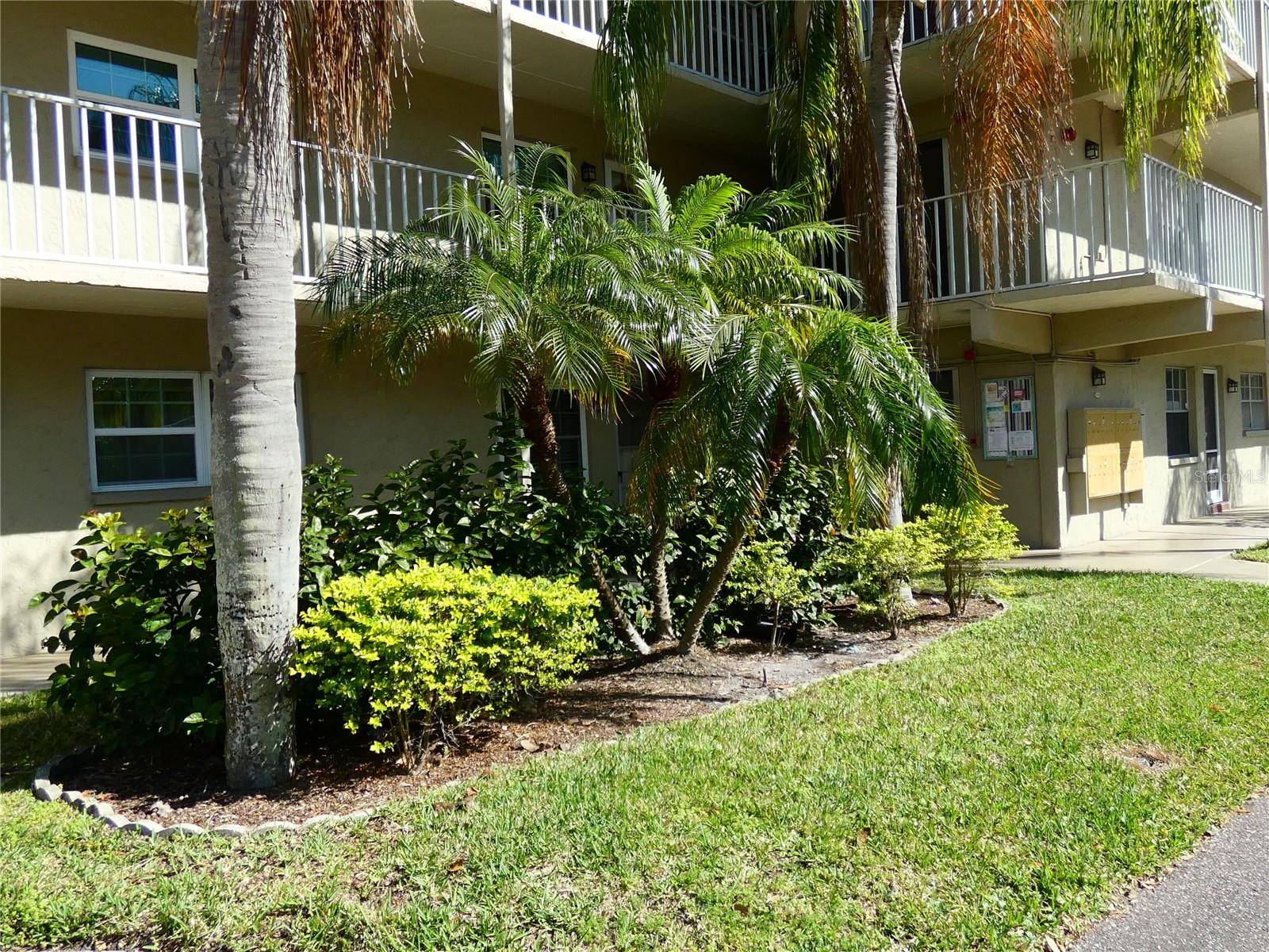 Dunedin, FL 34698,938 VIRGINIA ST #206