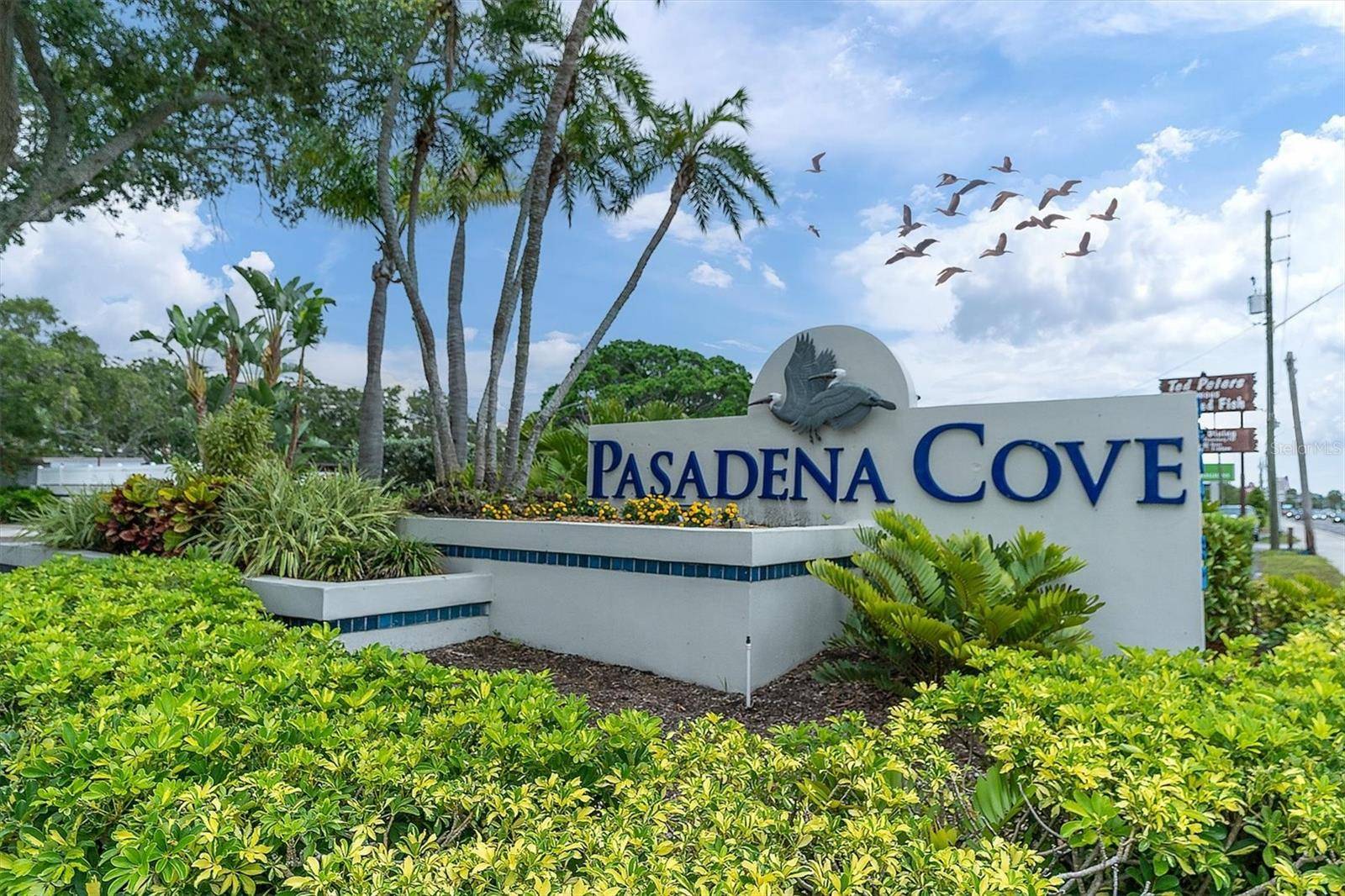 South Pasadena, FL 33707,1316 PASADENA AVE S #302