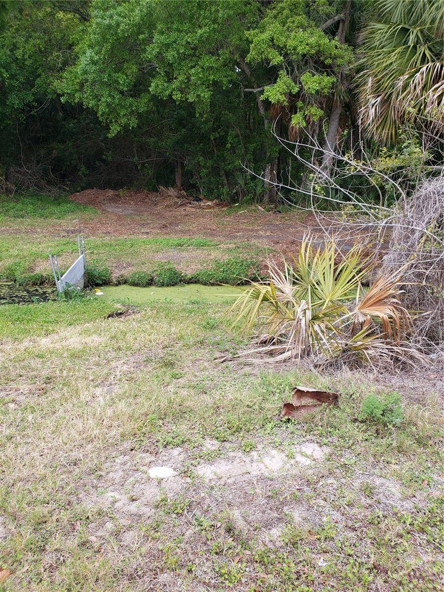Tarpon Springs, FL 34689,GROSSE AVE