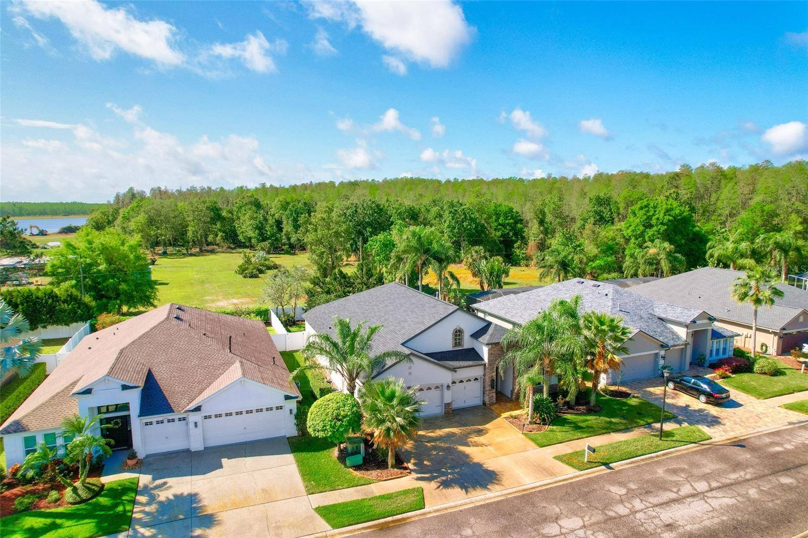 Odessa, FL 33556,16432 NIKKI LN