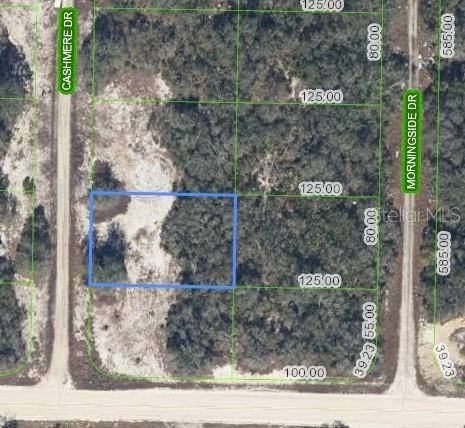 Lake Placid, FL 33852,323 CASHMERE DR