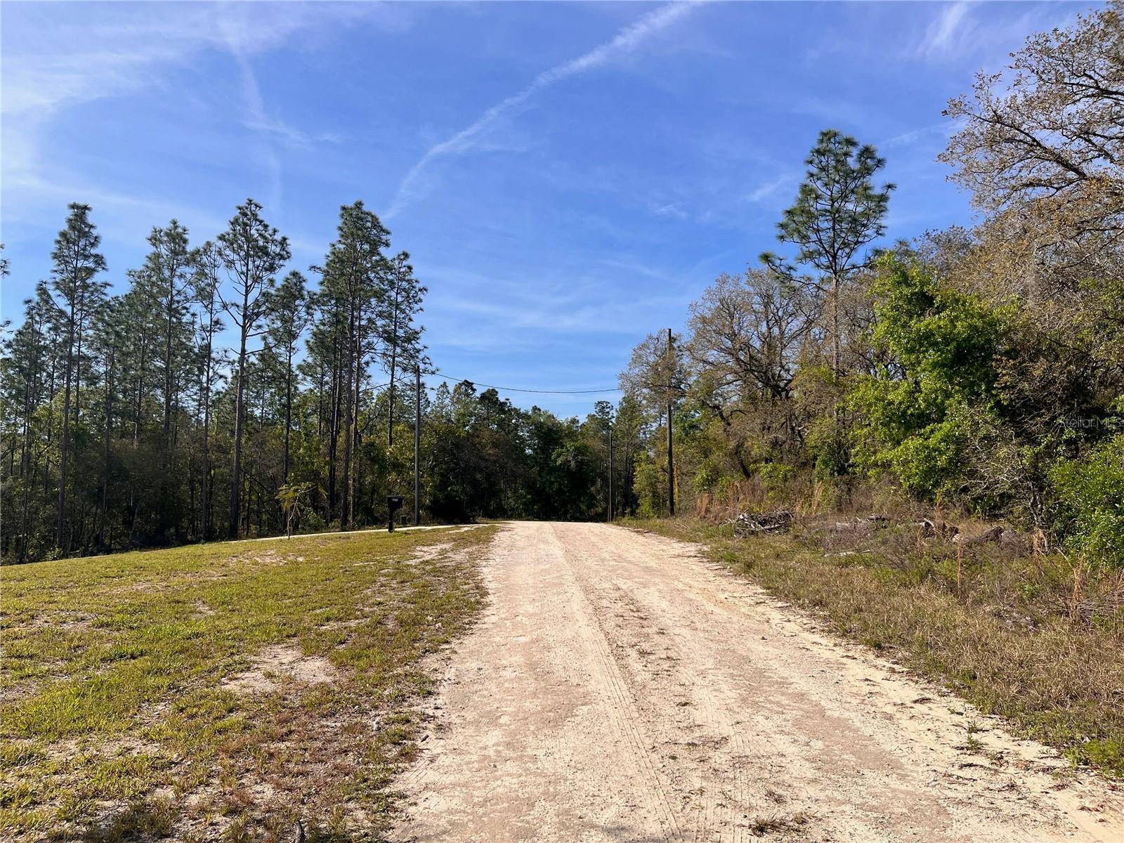 Morriston, FL 32668,SE 142ND CT