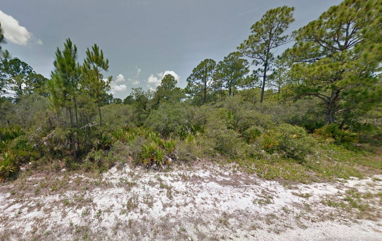 Lake Placid, FL 33852,602 BUCKLEY RD