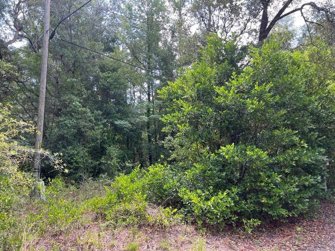 Dunnellon, FL 34433,10013 N HOLYOAK TER