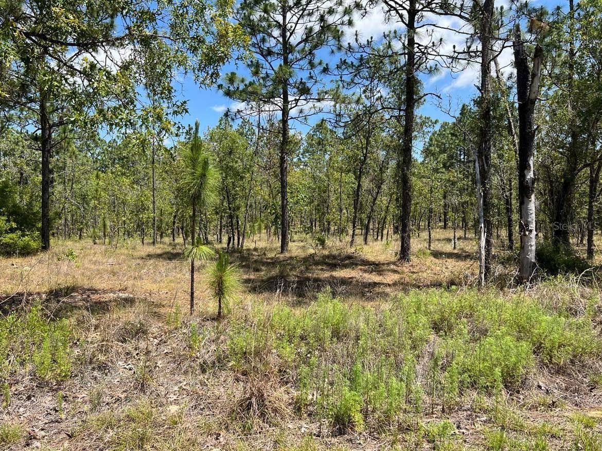 Dunnellon, FL 34431,NW AMBERJACK AVE #Lot #33