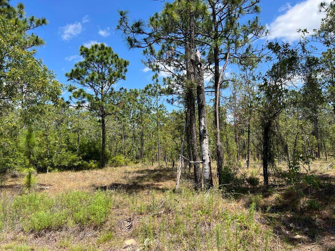 Dunnellon, FL 34431,NW AMBERJACK AVE #Lot #33