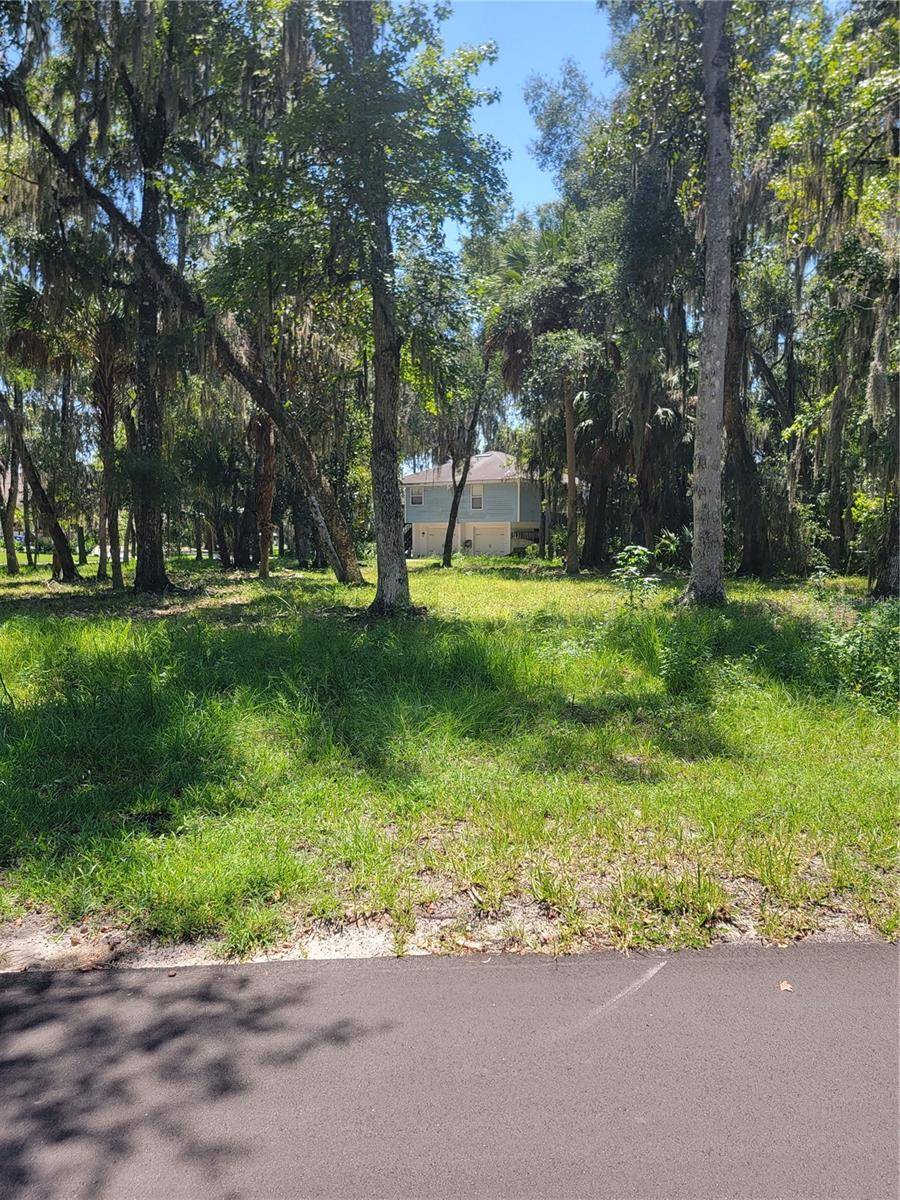 Crystal River, FL 34428,535 MILLER CREEK RD