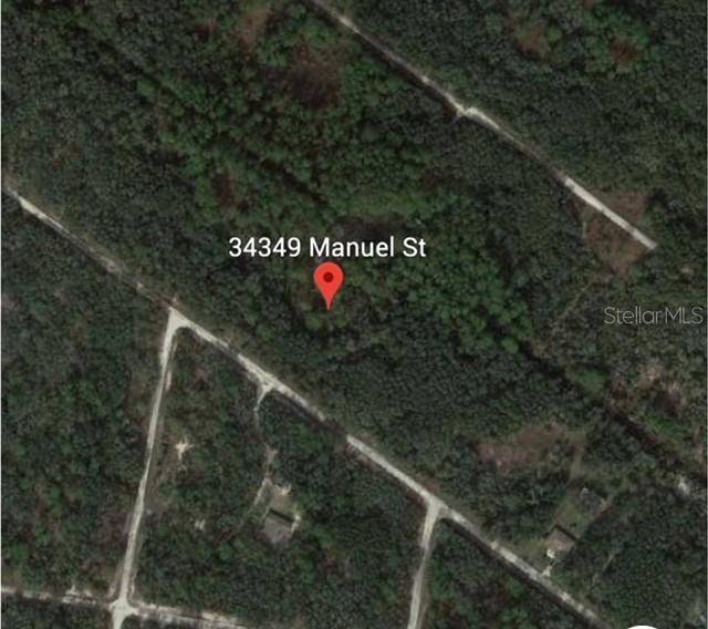 Webster, FL 33597,34349 MANUEL ST