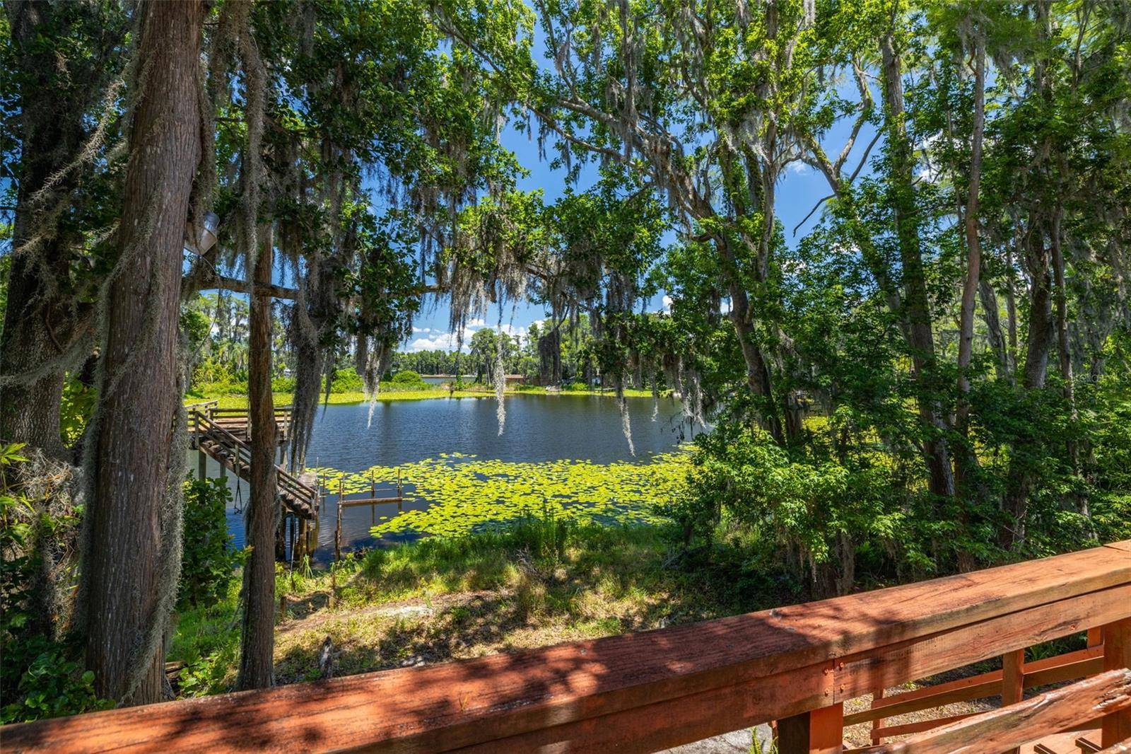 Lutz, FL 33548,503 W LUTZ LAKE FERN RD