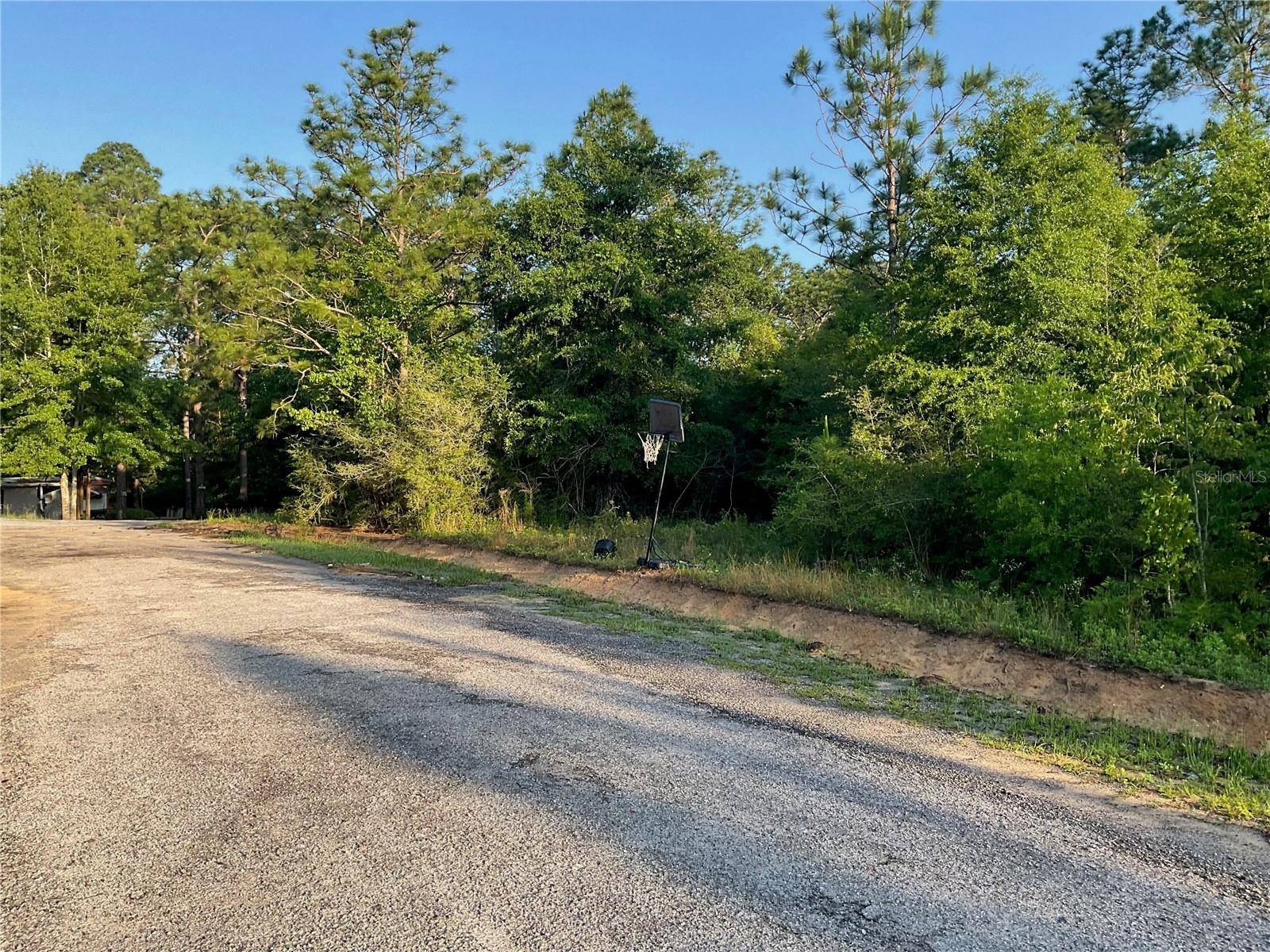 Defuniak Springs, FL 32433,PINETREE LN