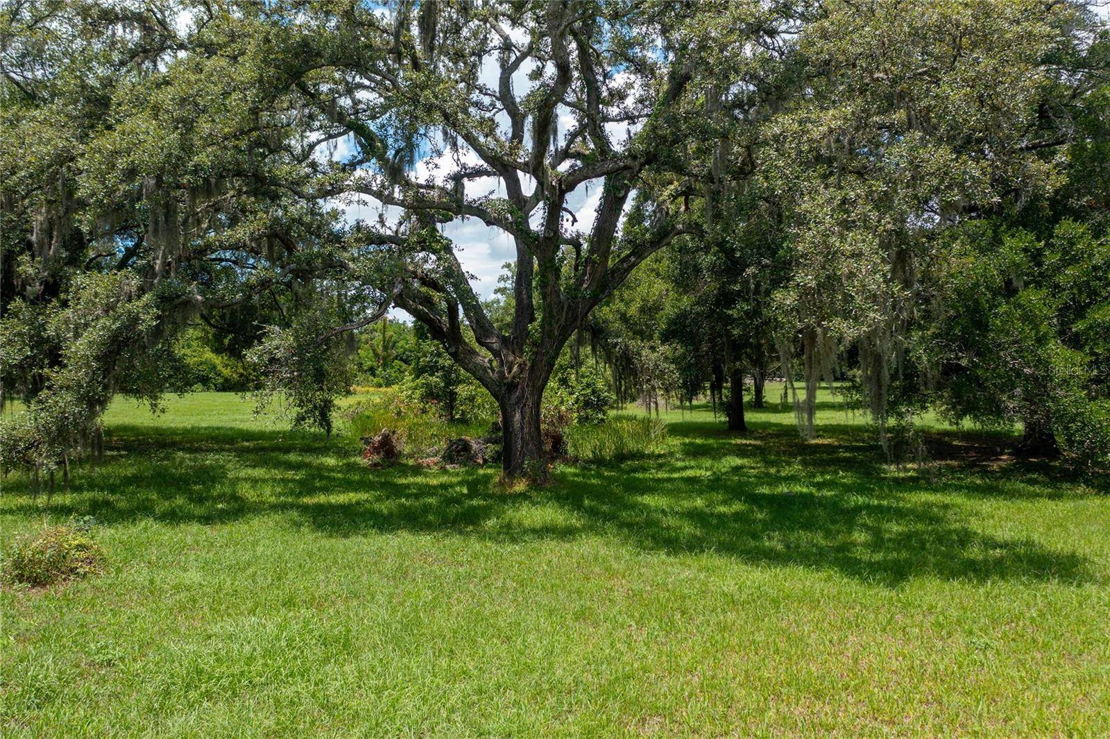 Seffner, FL 33584,S TAYLOR RD N