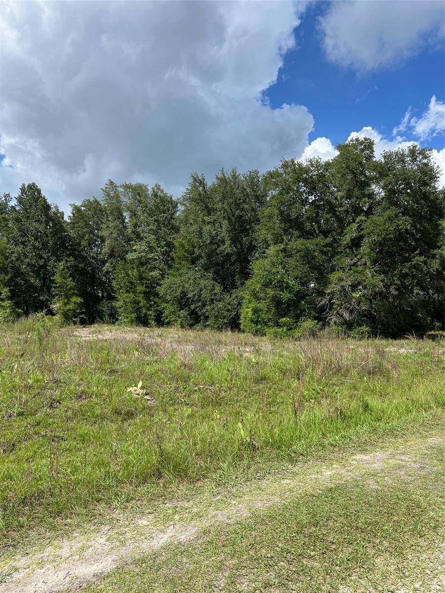 Dunnellon, FL 34432,SW 100TH LN