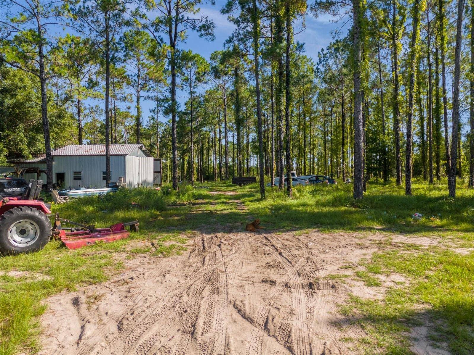 Howey In The Hills, FL 34737,9535 NUMBER TWO RD