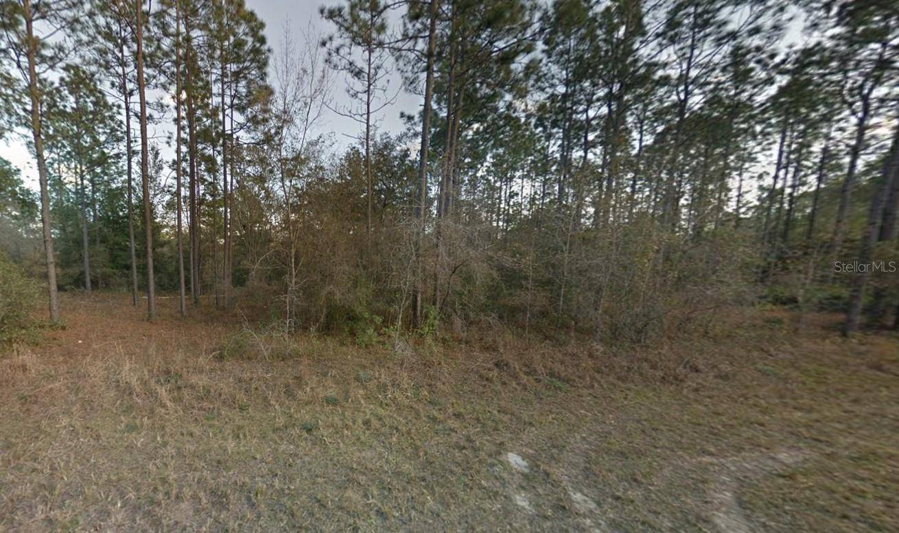 Morriston, FL 32668,SE 142ND AVE