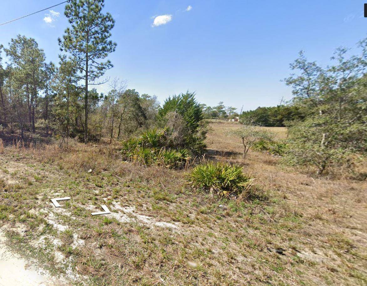 Brooksville, FL 34613,13164 FLACCUS CT