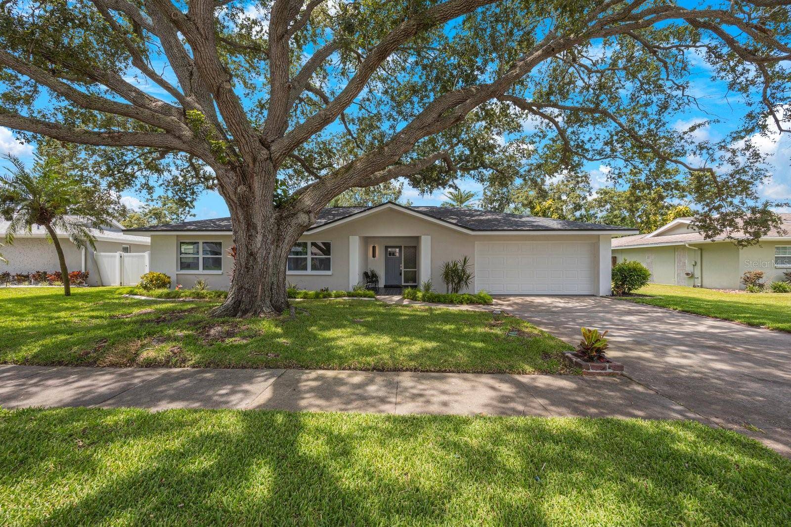 Clearwater, FL 33764,1995 ARVIS CIR E