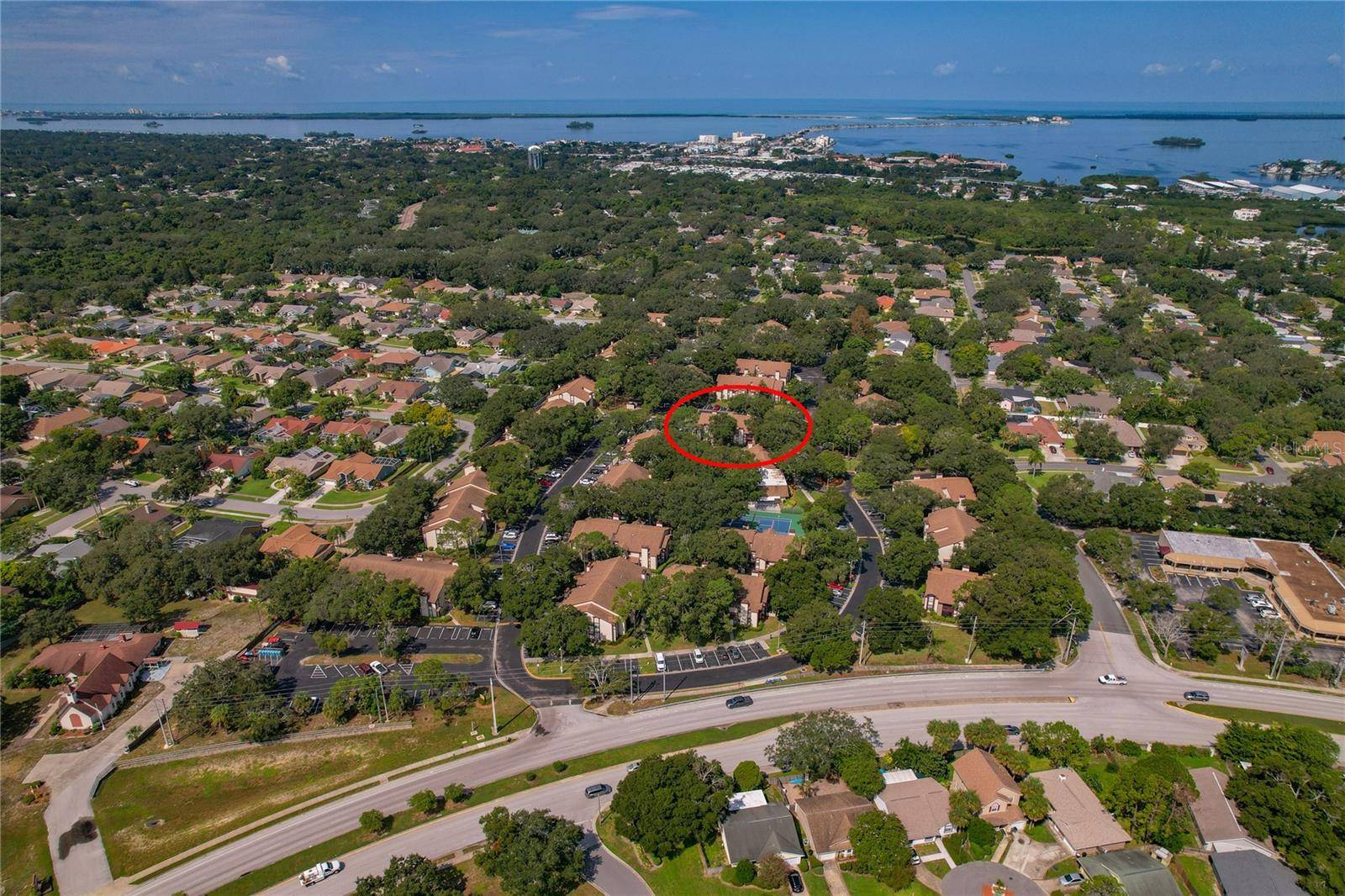 Palm Harbor, FL 34683,1689 HAMPTON LN #1689