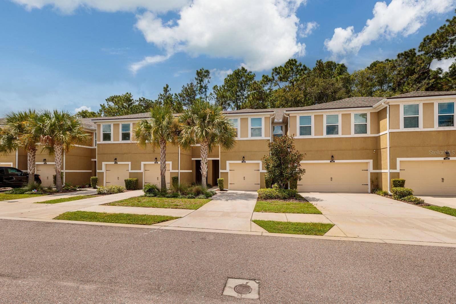 Lutz, FL 33558,17860 ALTHEA BLUE PL