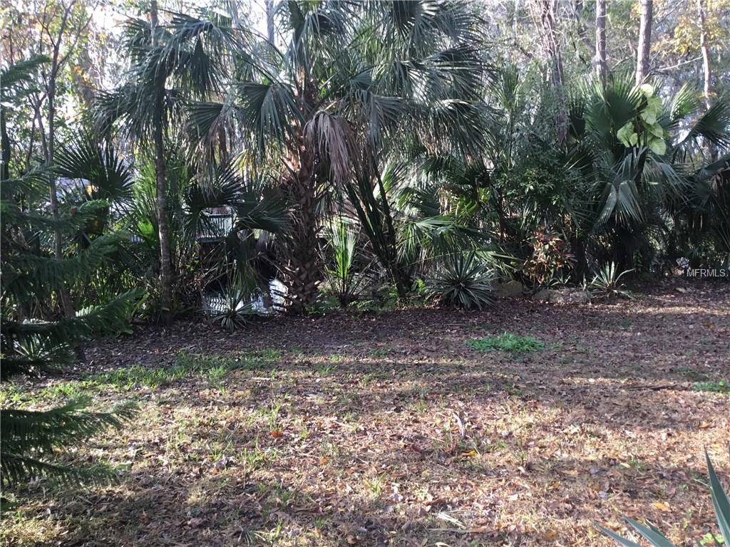 Astor, FL 32102,0 TREE RD