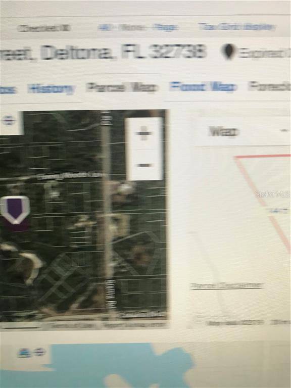 Deltona, FL 32738,EDITH PAPER ST