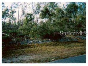 De Leon Springs, FL 32130,NO NAME PARCEL 05163011380050