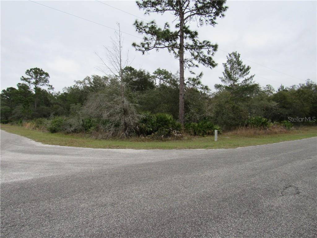 Eustis, FL 32736,FIR ST