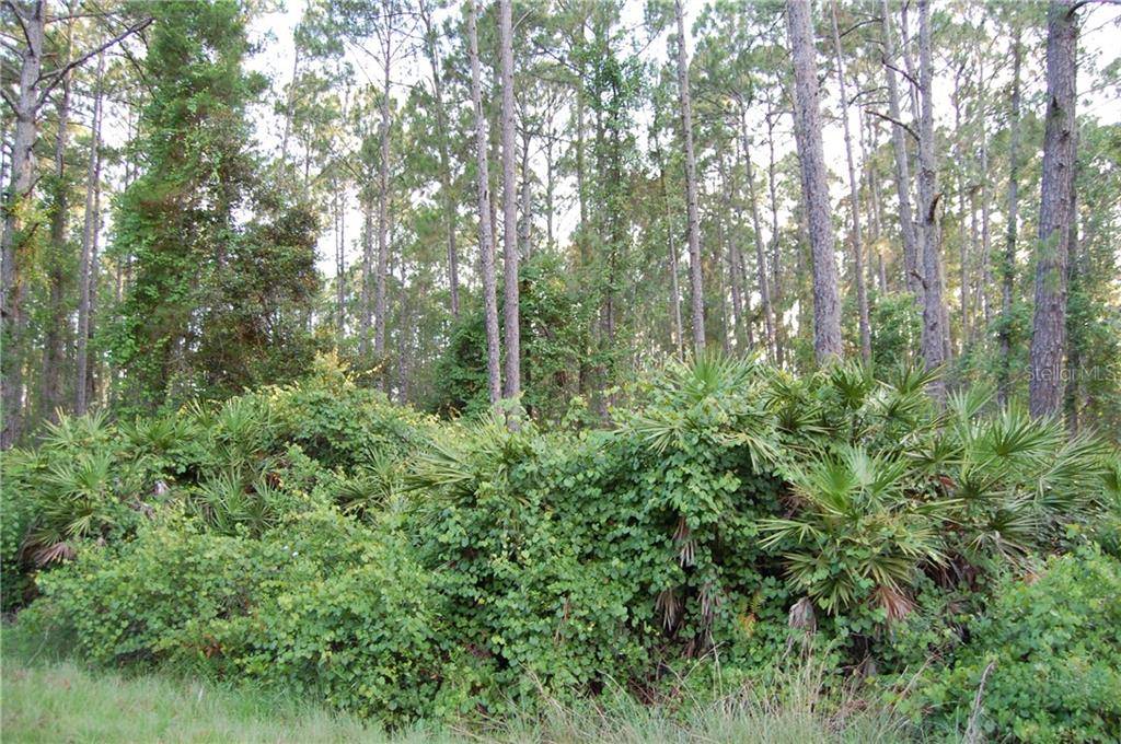 Eustis, FL 32736,W CASHEW CT