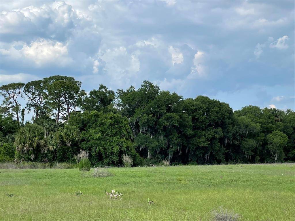 Deltona, FL 32725,LOT 3 OLD TITUSVILLE RD