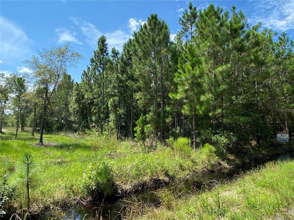 Pierson, FL 32180,NINEMILE POINT E 1/2 LOT 187 RD