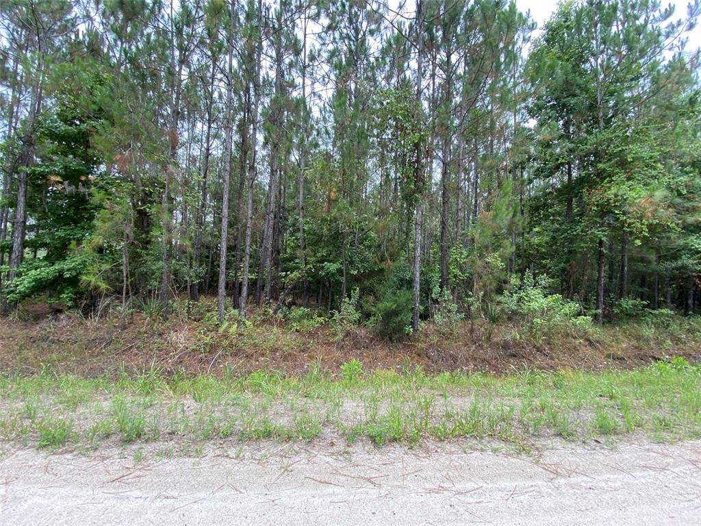 Pierson, FL 32180,NINEMILE POINT E 1/2 LOT 187 RD