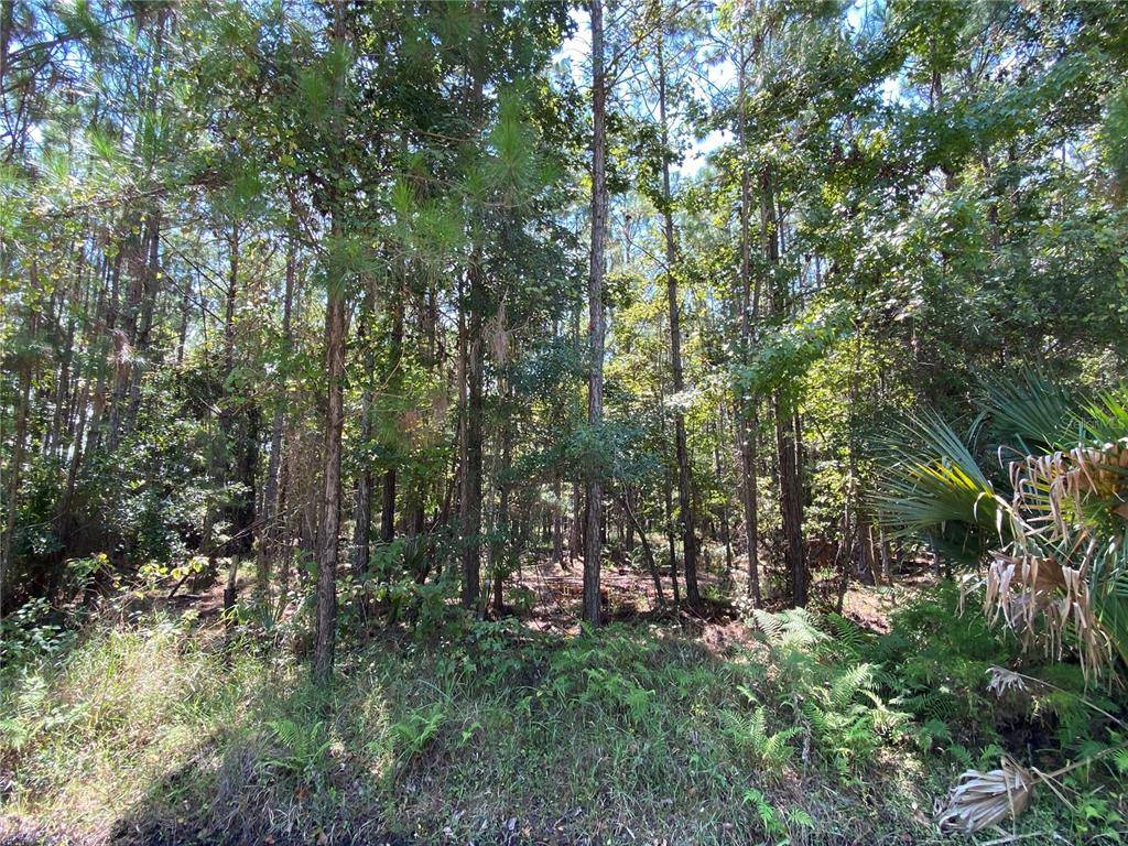 Pierson, FL 32180,NINEMILE POINT E 1/2 LOT 187 RD