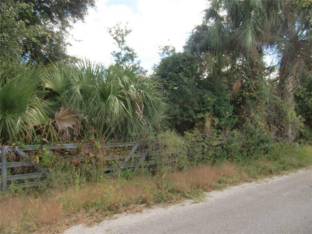 Pierson, FL 32180,1879 STONE RD