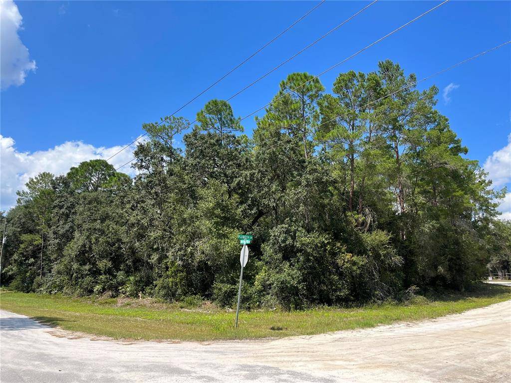 Georgetown, FL 32139,WHISPERING PINES