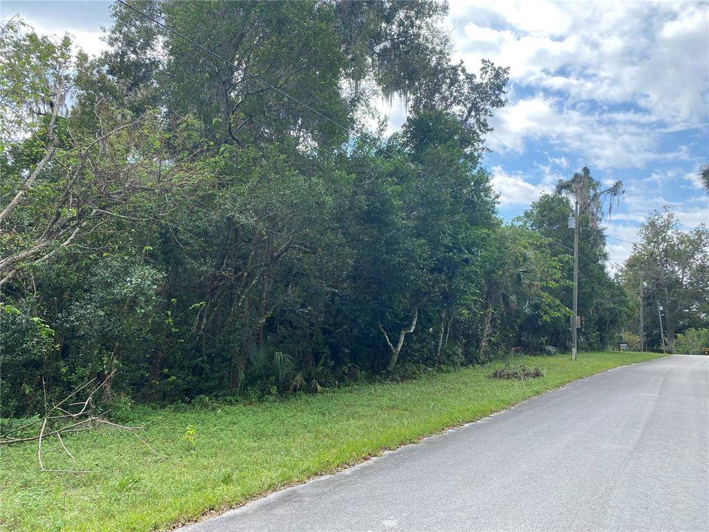 De Leon Springs, FL 32130,Lot 3 of 5 CORDOVA AVE