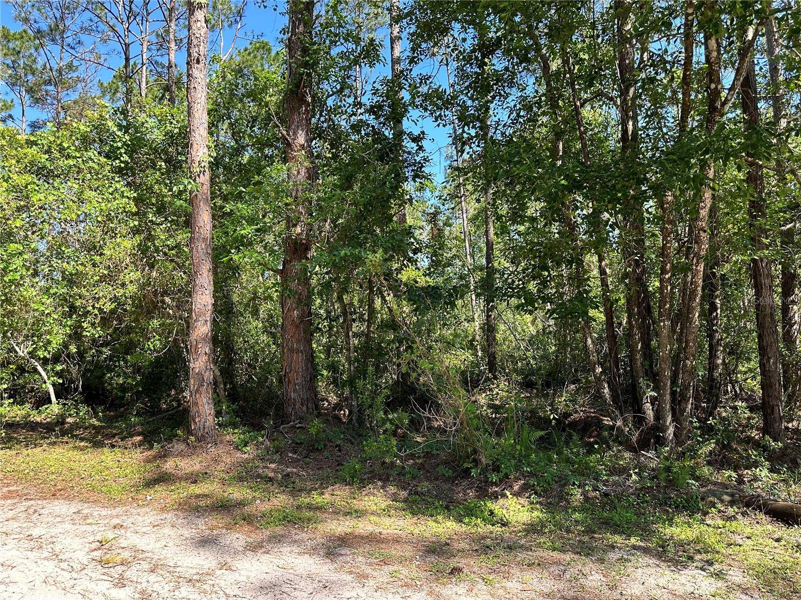 New Smyrna Beach, FL 32168,0 BUDD RD