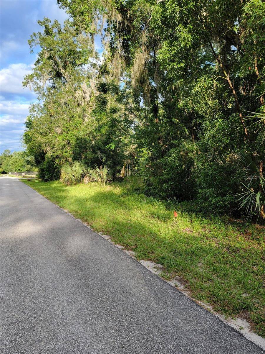 Pierson, FL 32180,PURDOM CEMETERY RD