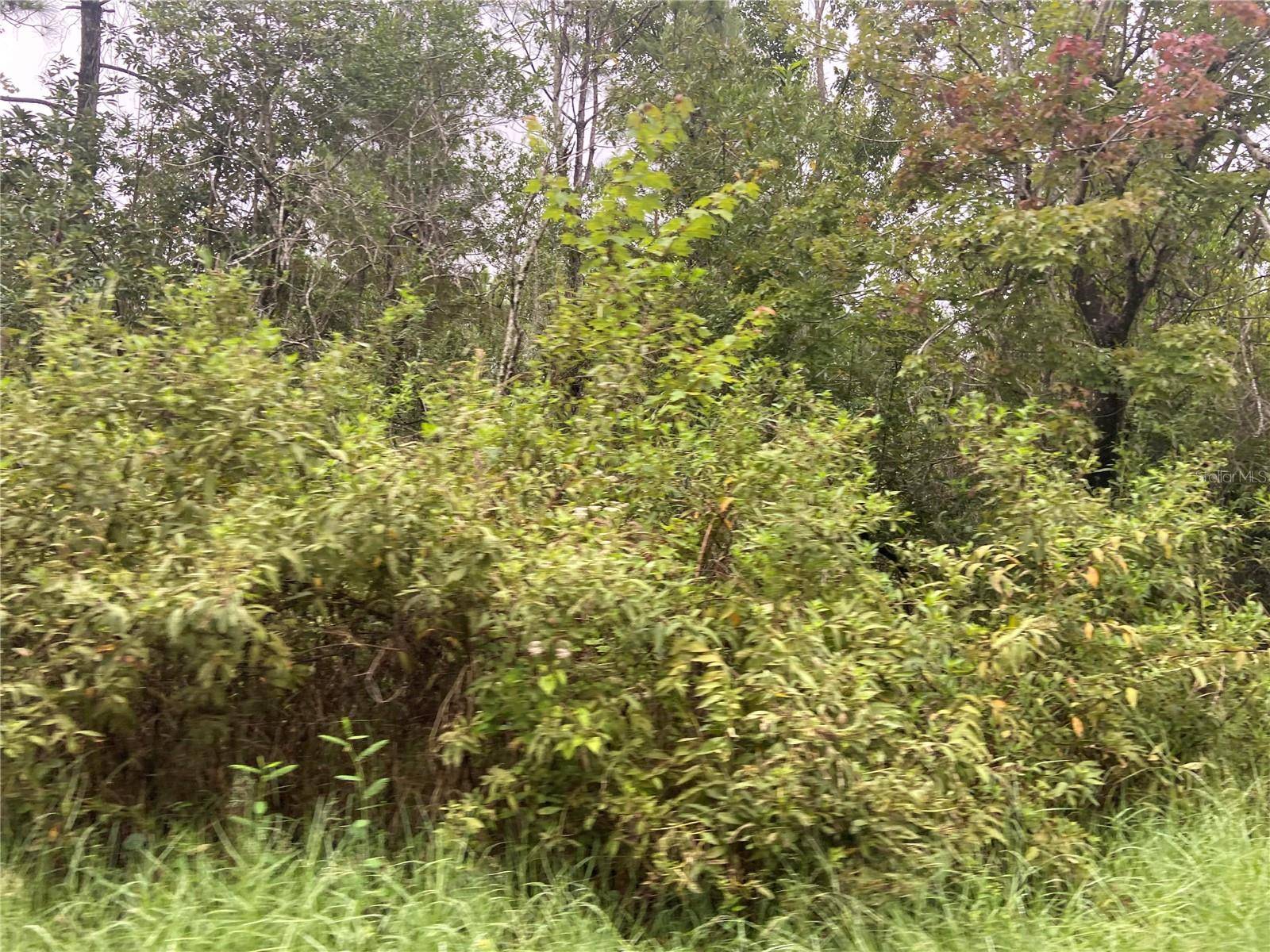 Lake Helen, FL 32744,NO NAME PARCEL 28173102040030 ST