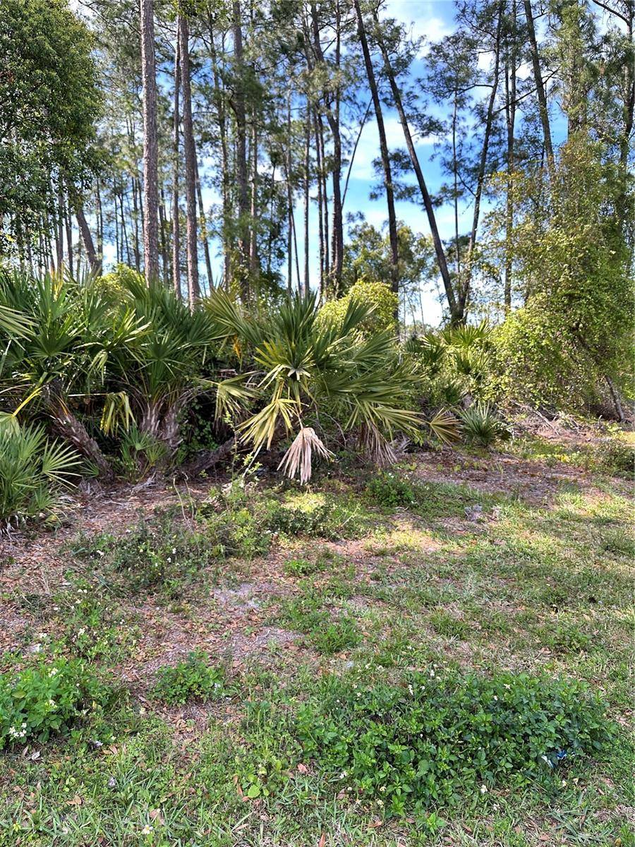 Deland, FL 32724,1480 6TH (LOTS-64,65,66) AVE