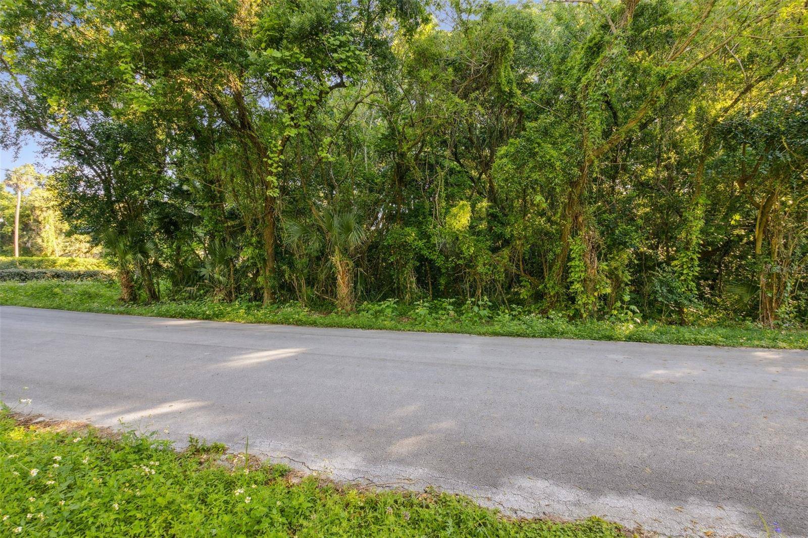 De Leon Springs, FL 32130,Lot A (address TBD) QUEBEC AVENUE