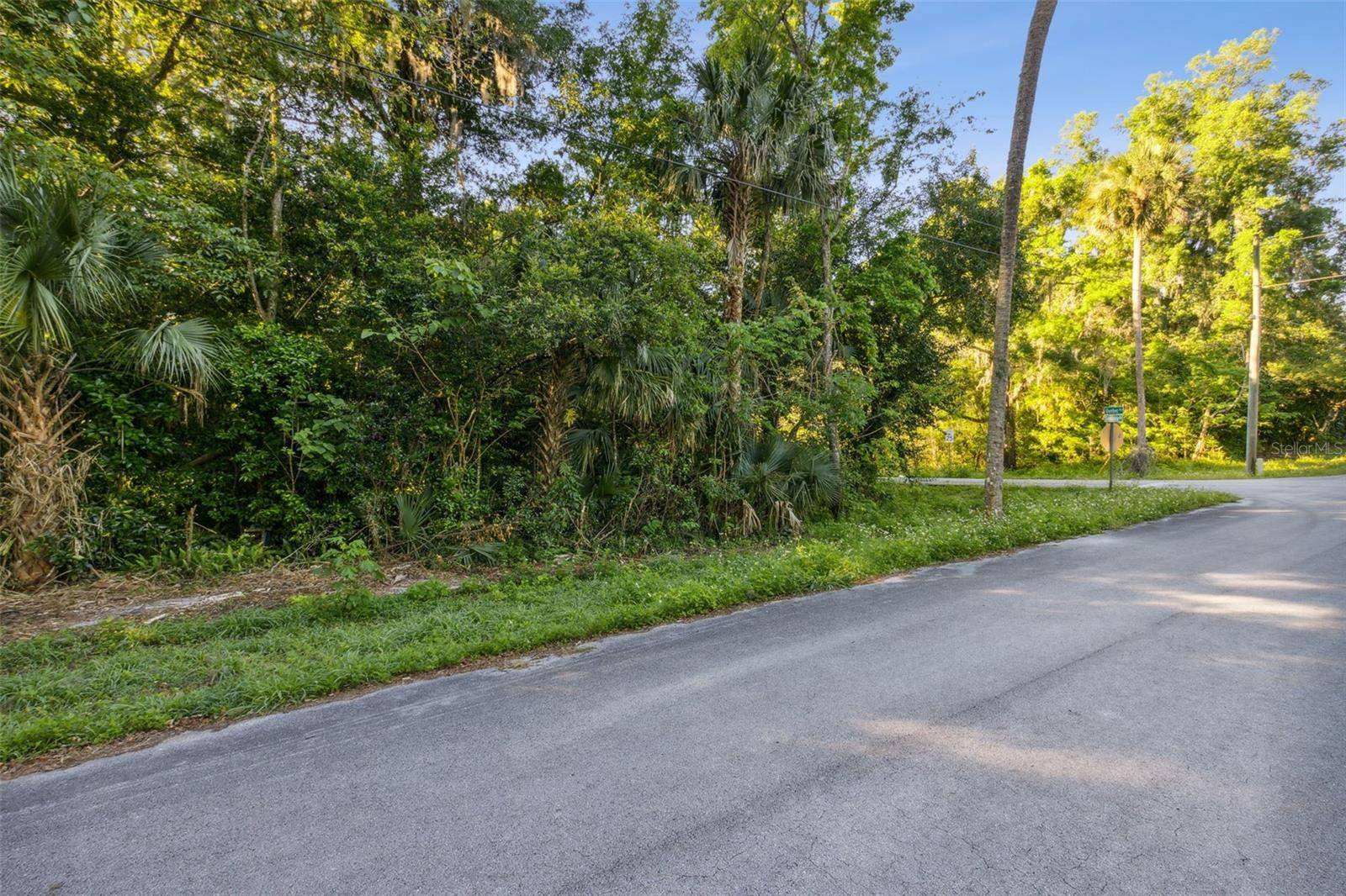 De Leon Springs, FL 32130,Lot B (address TBD) QUEBEC AVENUE