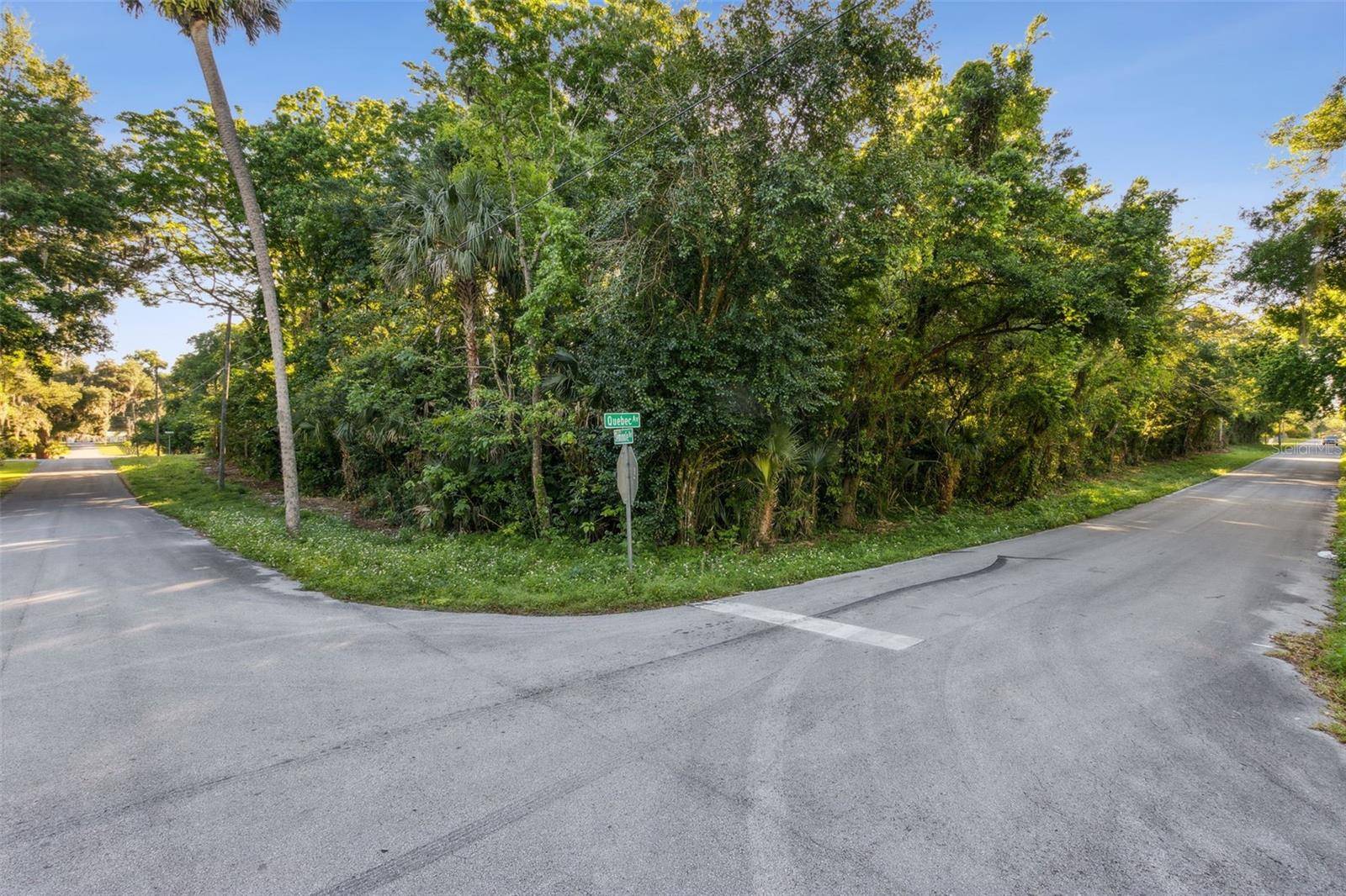 De Leon Springs, FL 32130,Lot D (address TBD) QUEBEC AVENUE