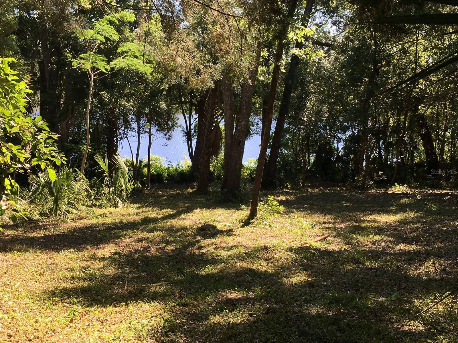 Lake Helen, FL 32744,VISTA ST