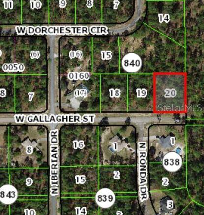 Citrus Springs, FL 34433,4121 W GALLAGHER ST