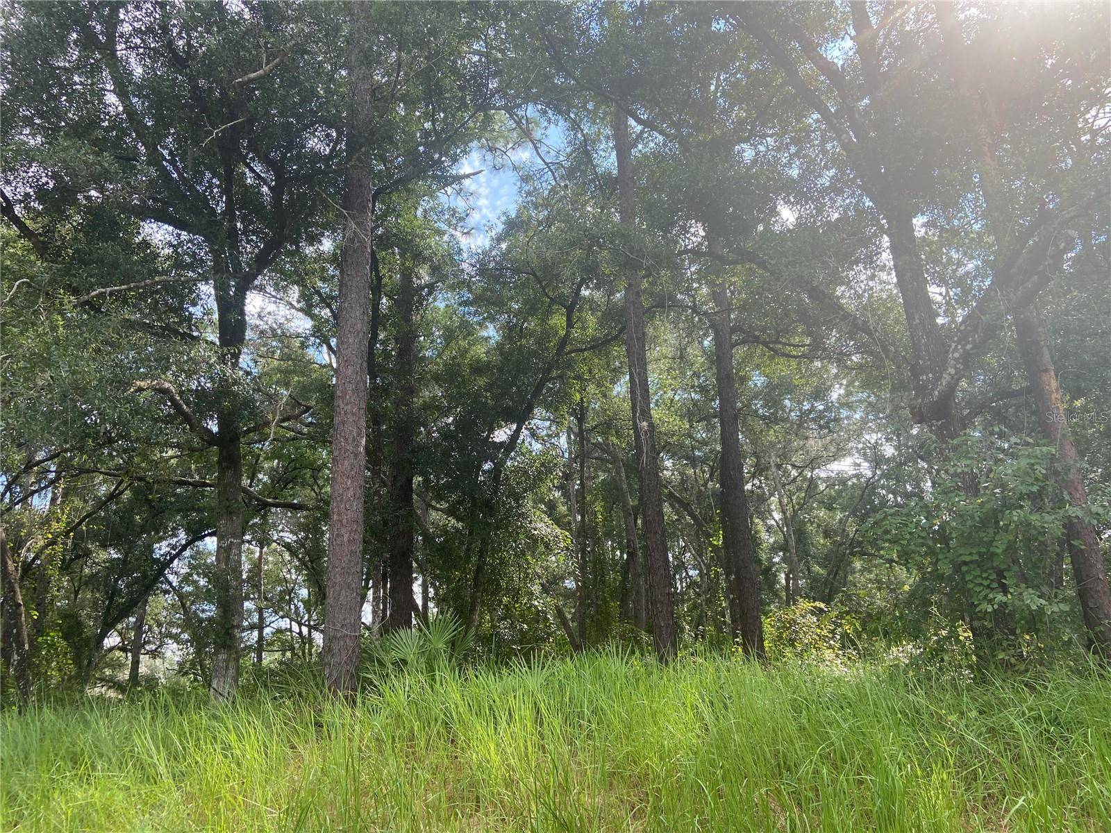 Deland, FL 32724,S BLUE LAKE AVE