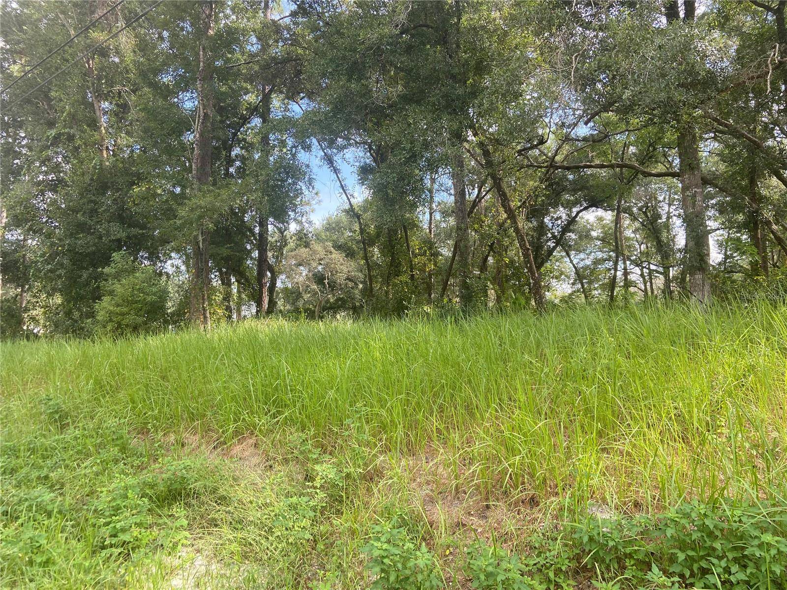 Deland, FL 32724,S BLUE LAKE AVE